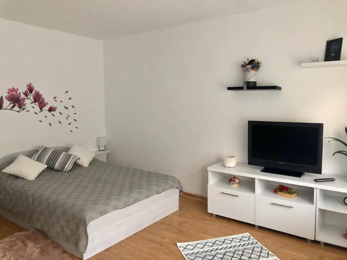 Апартаменты Mia'S House Питешти Экстерьер фото